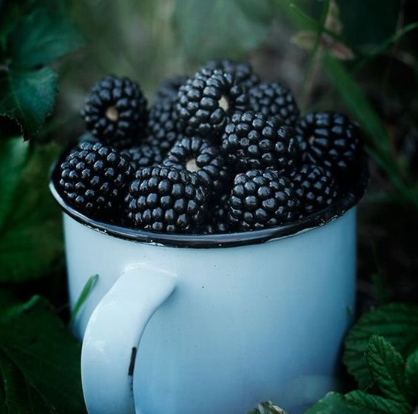 Moras